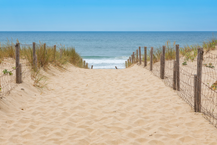 Strandjutten en duinwandeling