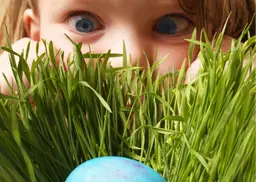 Paaspannenkoeken en eieren zoeken