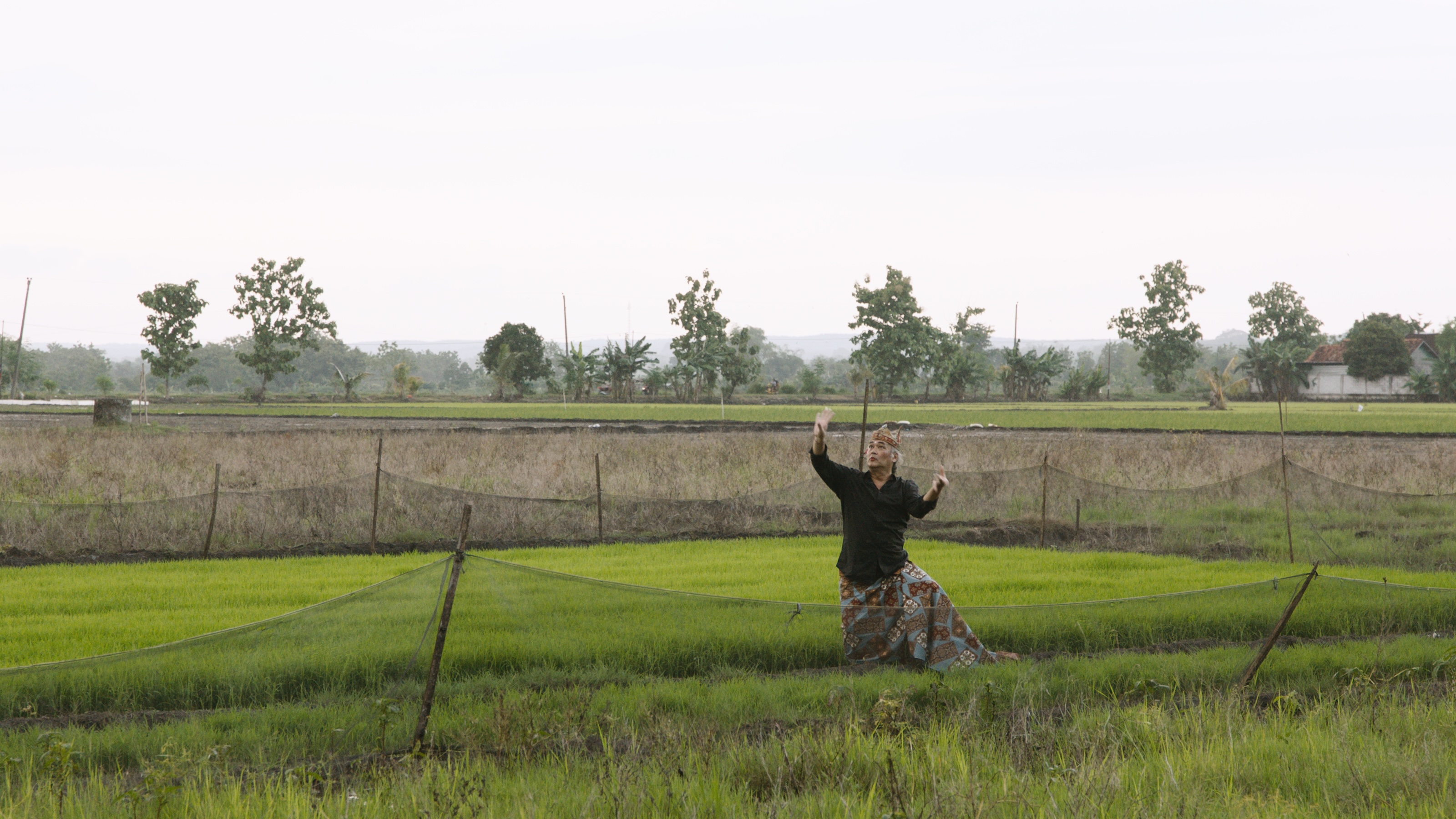 Film: Batik, Beats & Bumbu, met Nusantara Beat, Vanja van der Leeden e.a.