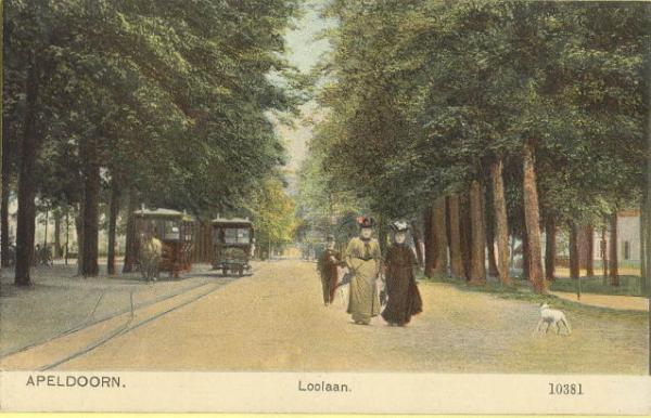 Allee met allure