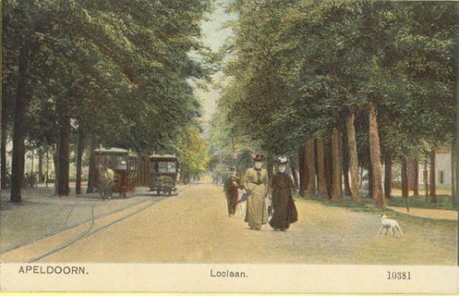 Allee met allure