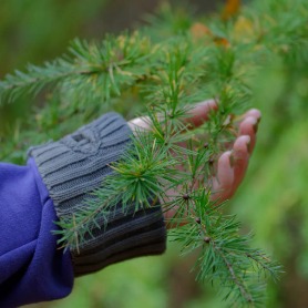 Lezing 'De geneeskracht van natuur'