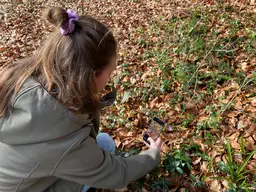 Doe mee met De Hoge Veluwe BioBlitz