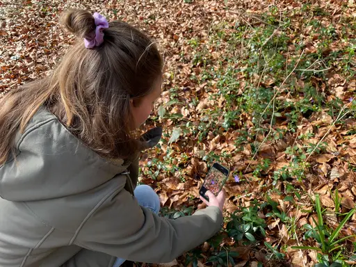Doe mee met De Hoge Veluwe BioBlitz
