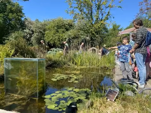 Themarondleiding: Waterdiertjes