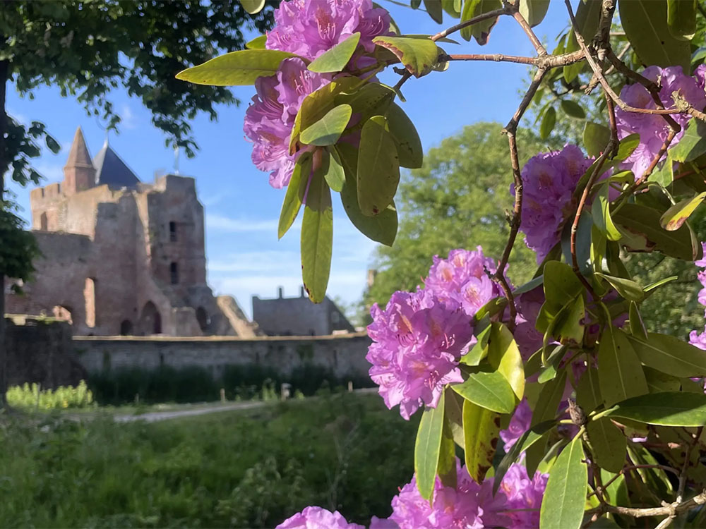 Paasspeurtocht Ruïne van Brederode