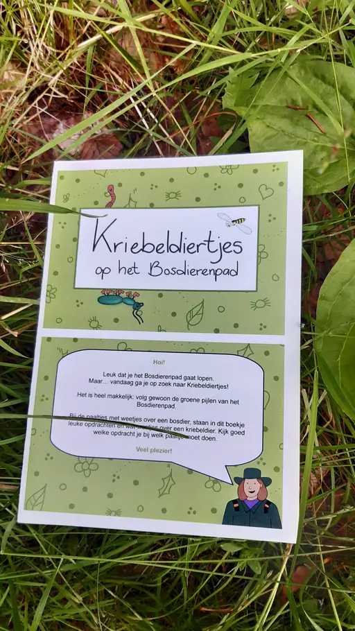 Op zoek naar de kleinste diertjes van de Veluwe met Staatsbosbeheer