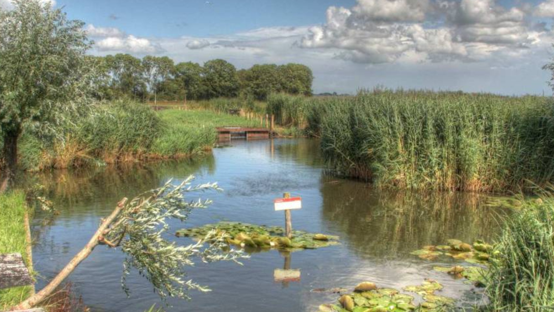 Fietsexcursie 'Akersloot aan Zee'
