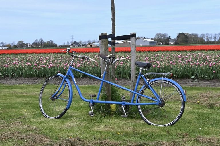 Happen en Trappen langs de Bloemendagen