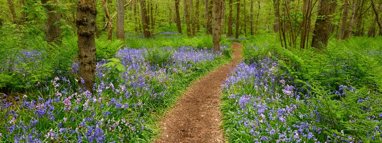 Open dag in het sprookjesachtige Wildrijk