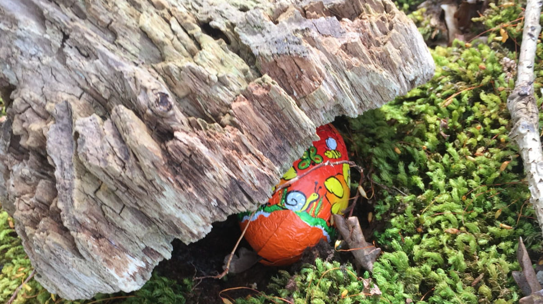 Pasen in de Schoorlse Duinen 