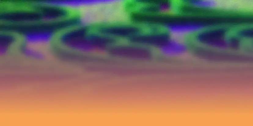 Paleis Het Loo State of Wander – Towards Environmental Restoration