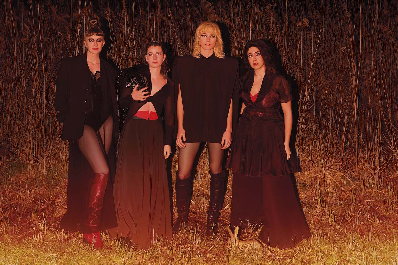 Geschiedenis van een ongeluk