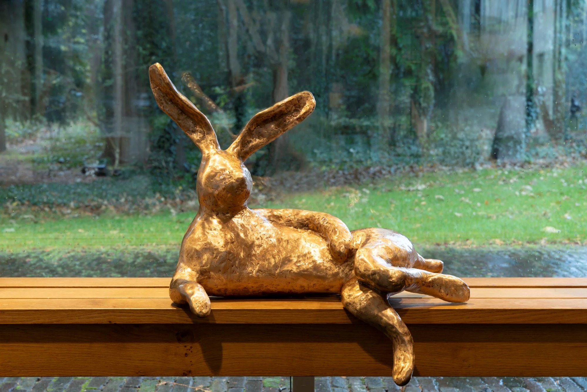 Hazen kleien (5-12 jaar)