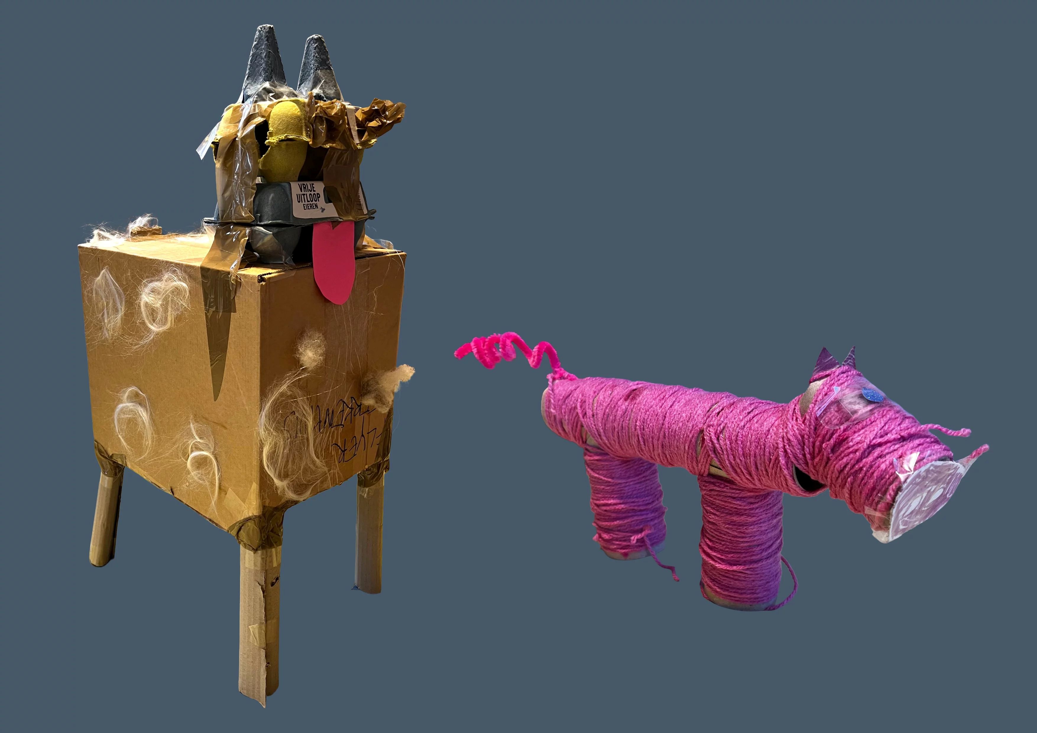 XL kartonbeesten (5 - 12 jaar)