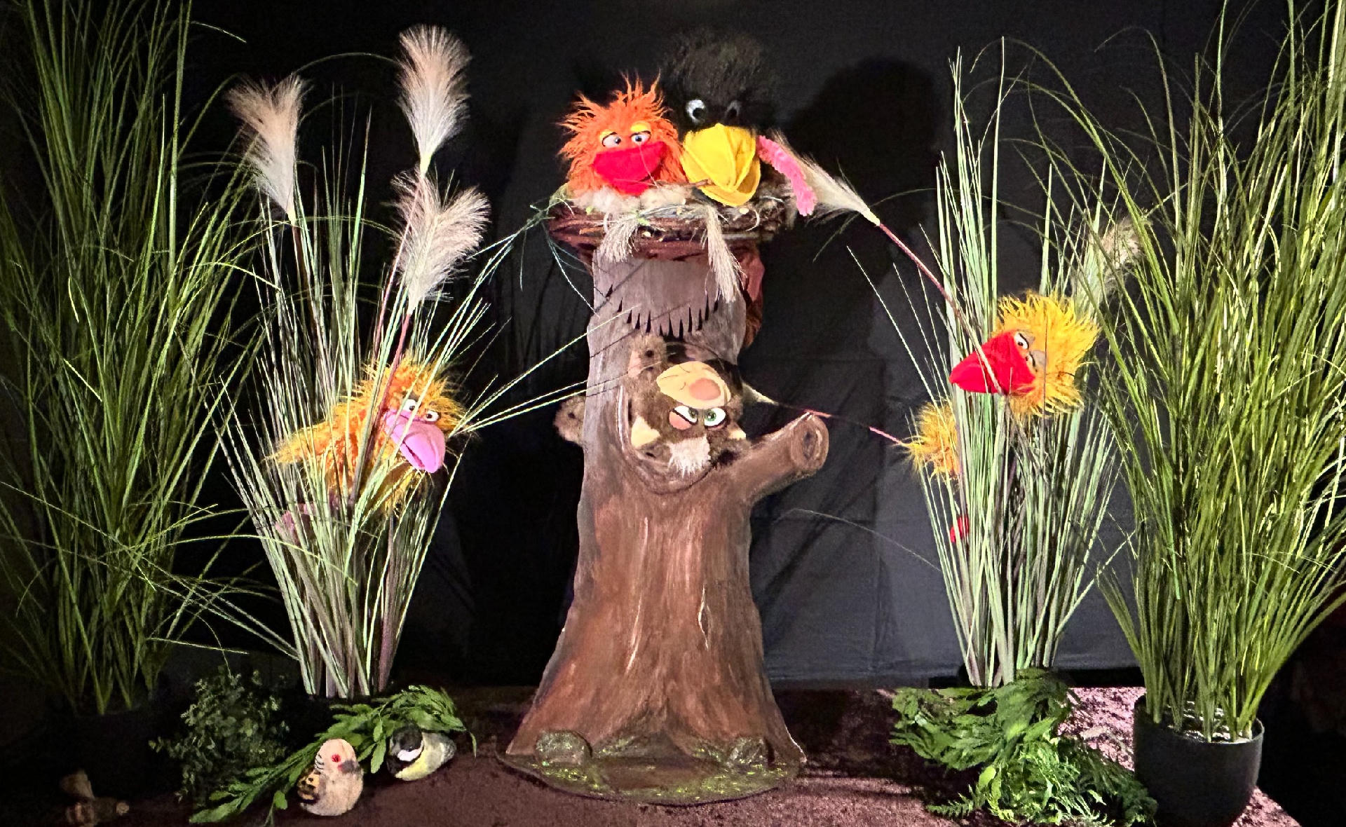 Voorleestheater Poppekus speelt: Coco