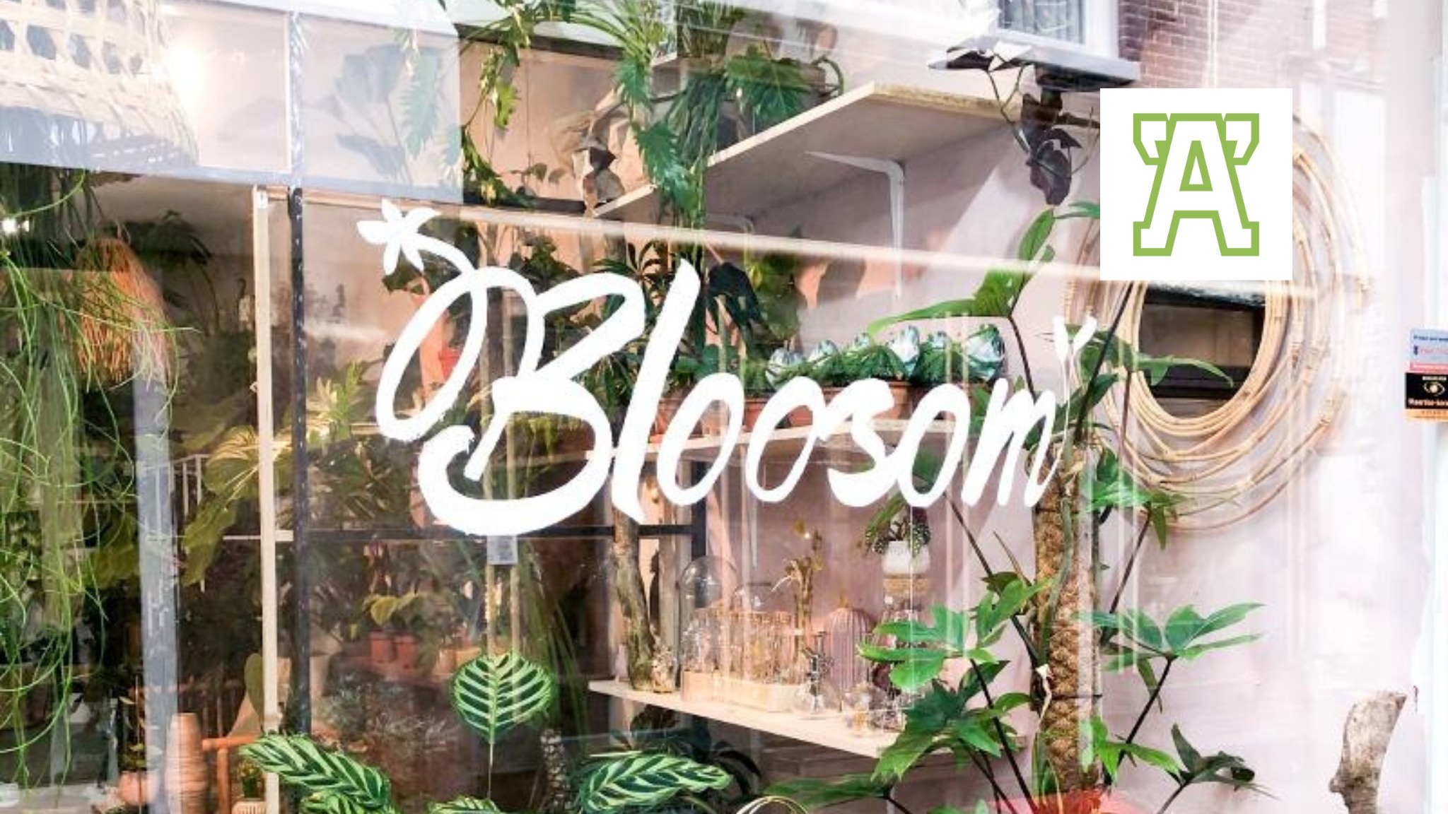 Bloosom