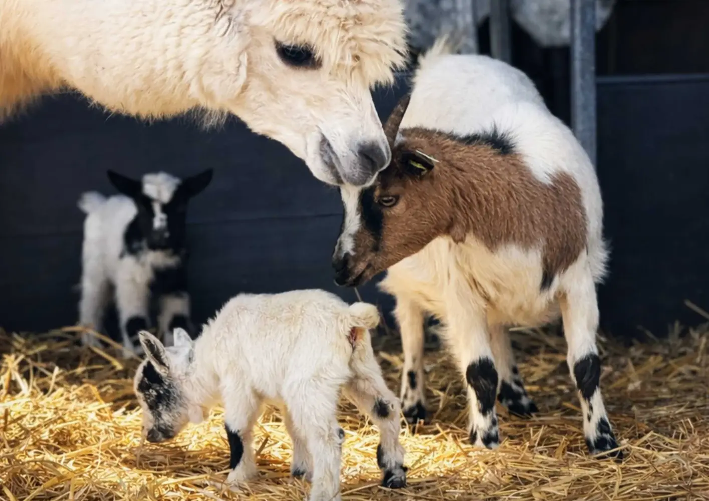 Zomeragenda Van der Valk Hotel Apeldoorn