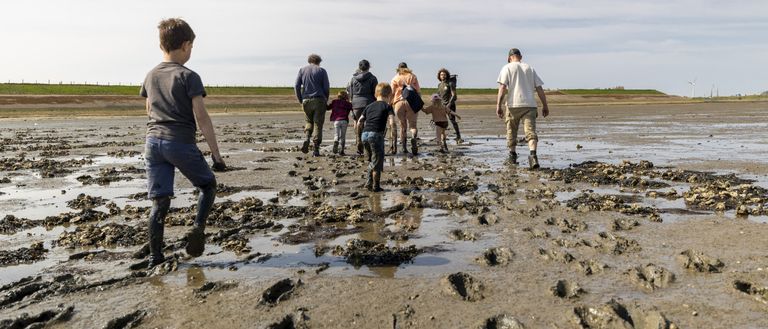 Wadlopen in de meivakantie
