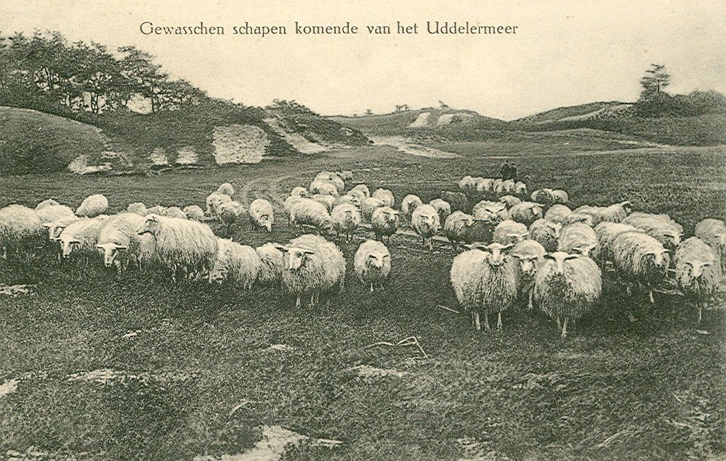 Expositie Atlas van Apeldoorn: Uddel