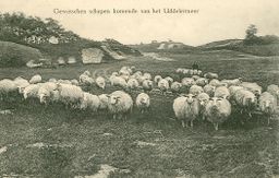 Expositie Atlas van Apeldoorn: Uddel