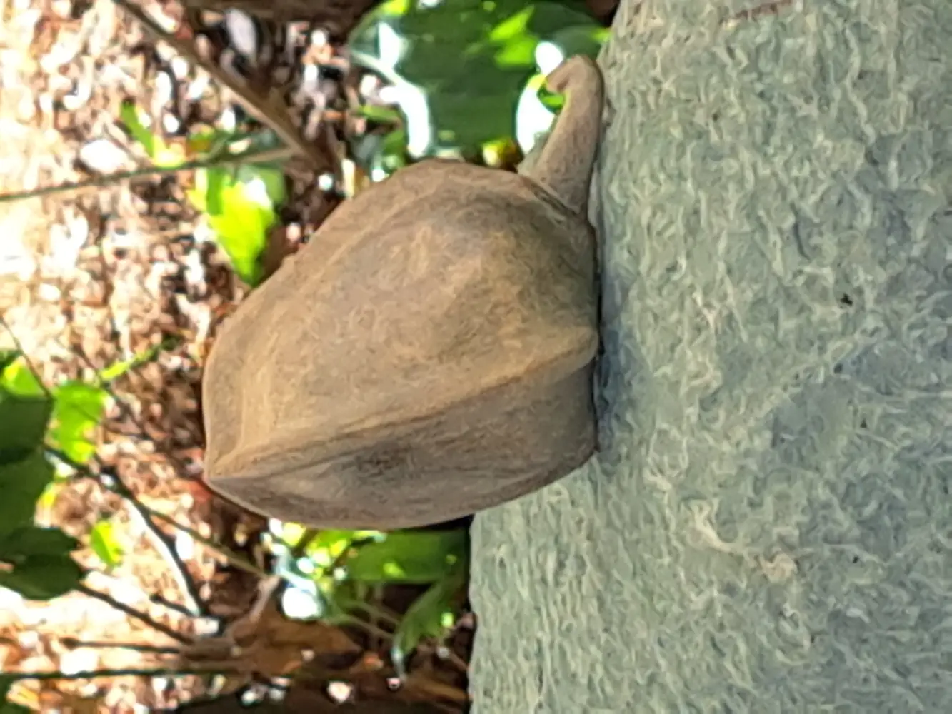 Speksteen workshop met open inschrijving