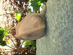 Speksteen workshop met open inschrijving