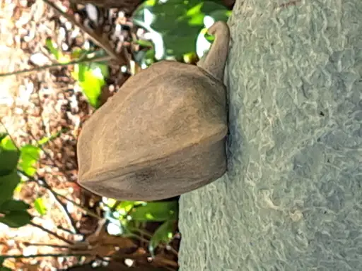 Speksteen workshop met open inschrijving