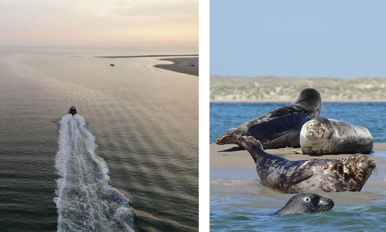 Havenbezoek Den Oever