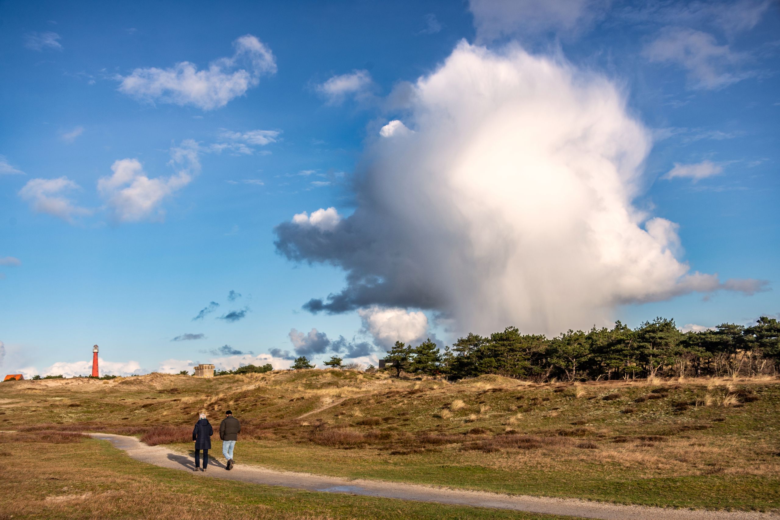 Grafelijkheidsduinen
