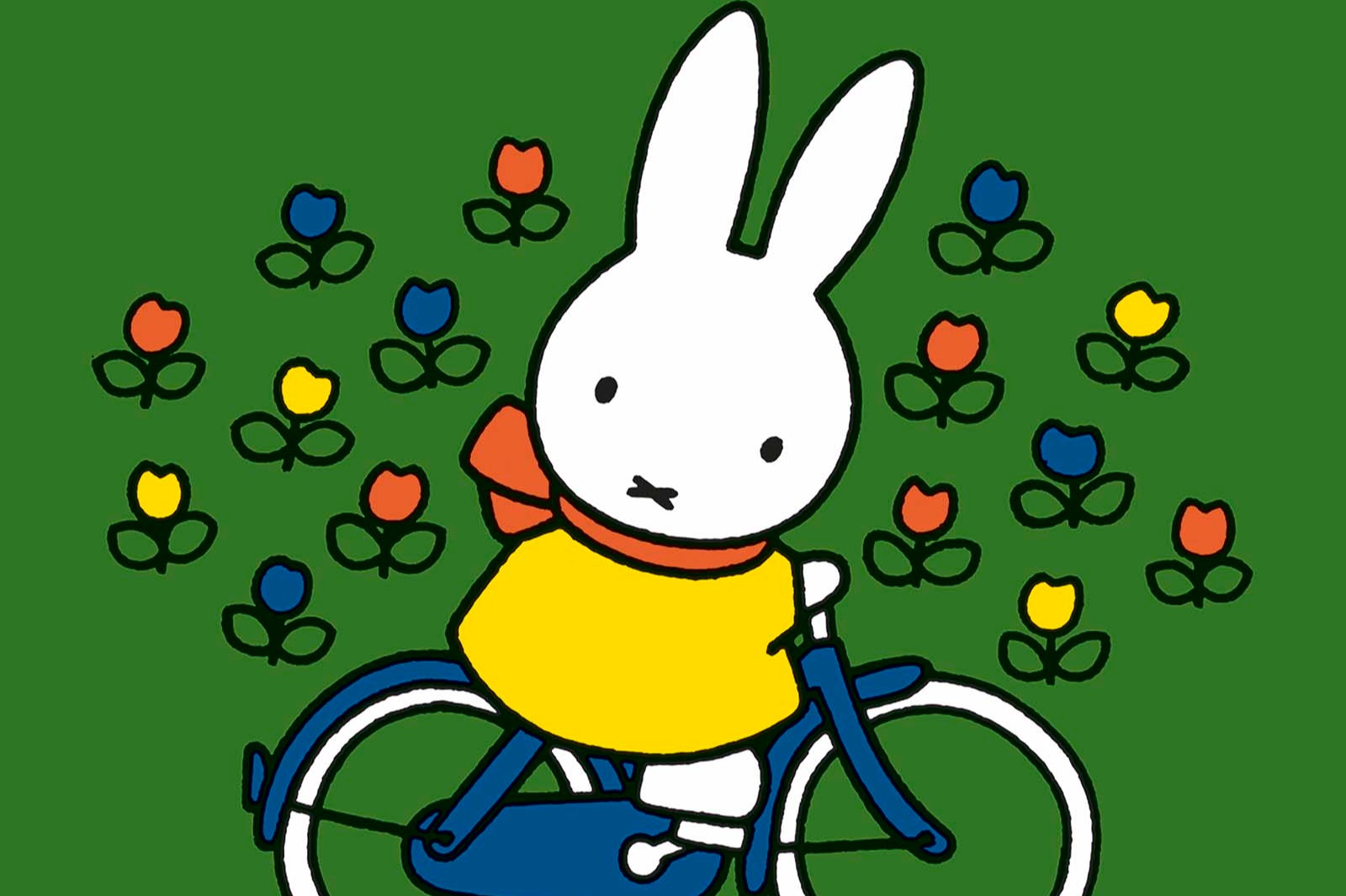 nijntje op de fiets (2+)