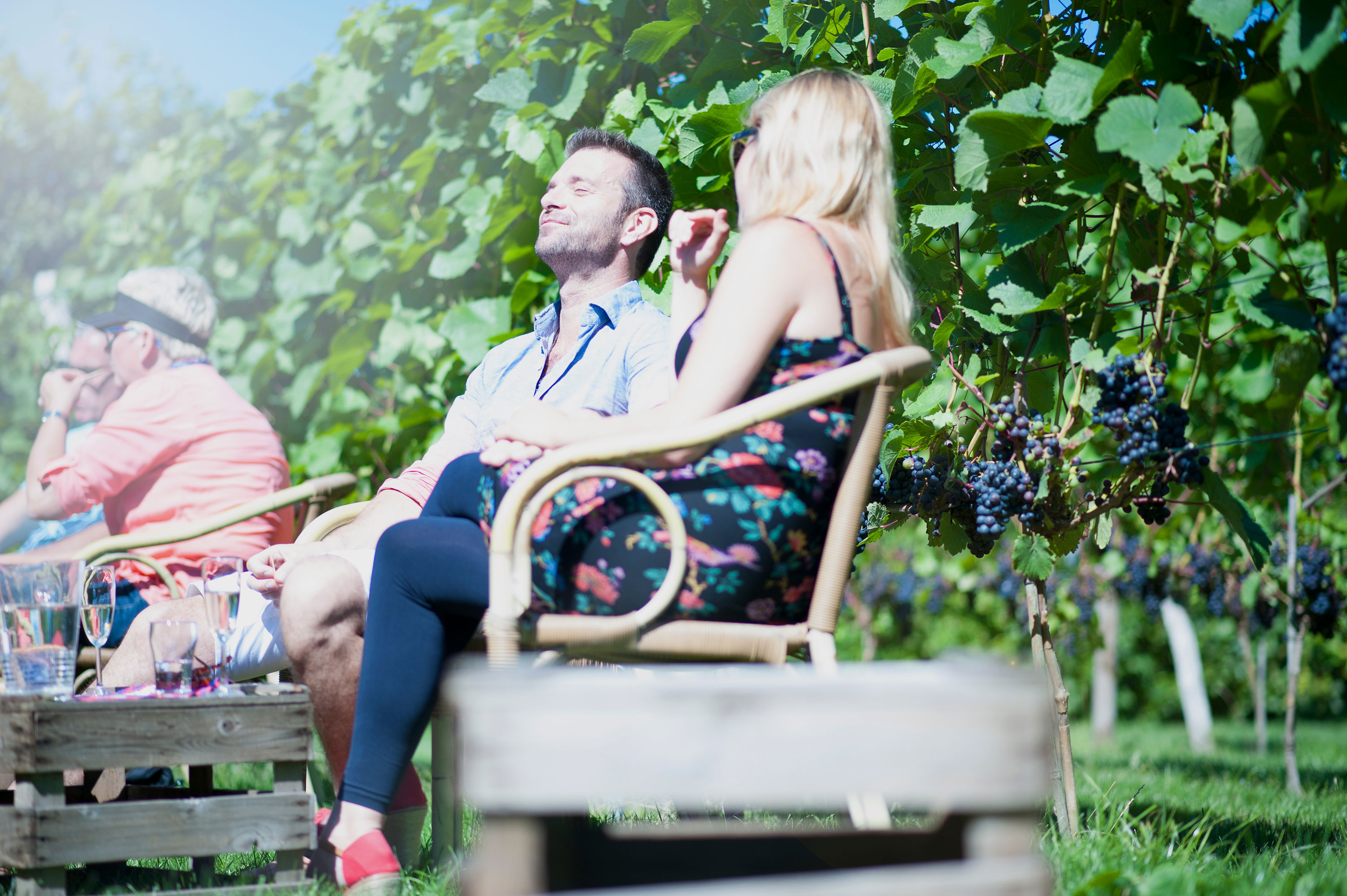 High wine Wijndomein de Koen