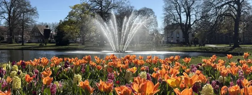 Koninklijke bloembollenactie in het Oranjepark – gratis bloembollen ophalen!