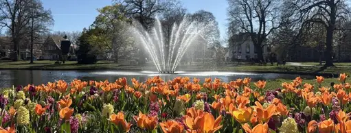 Koninklijke bloembollenactie in het Oranjepark – gratis bloembollen ophalen!