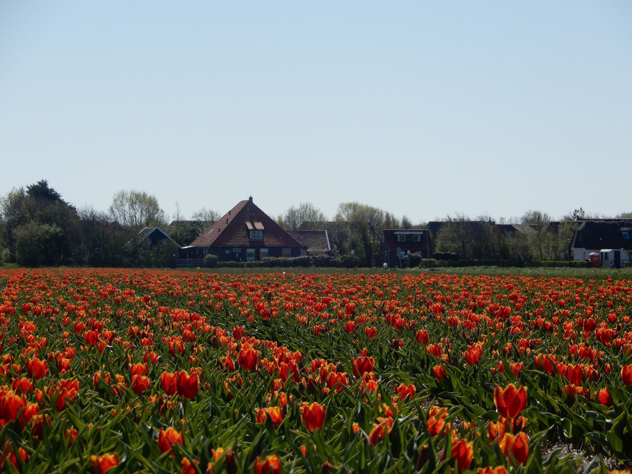 Minicamping de Zeeman