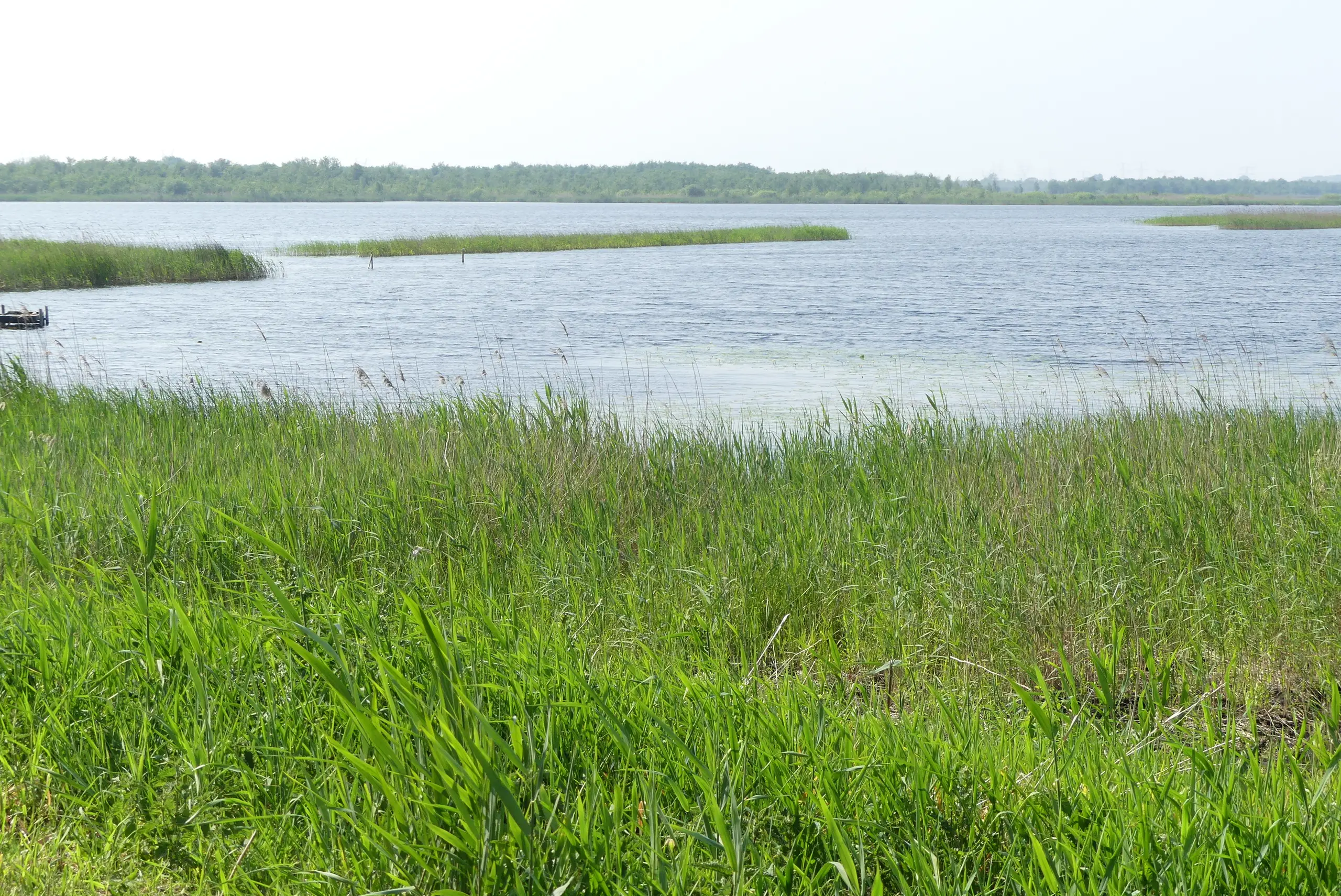 Naardermeer