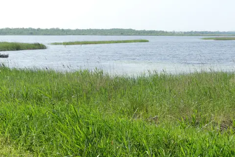 Naardermeer
