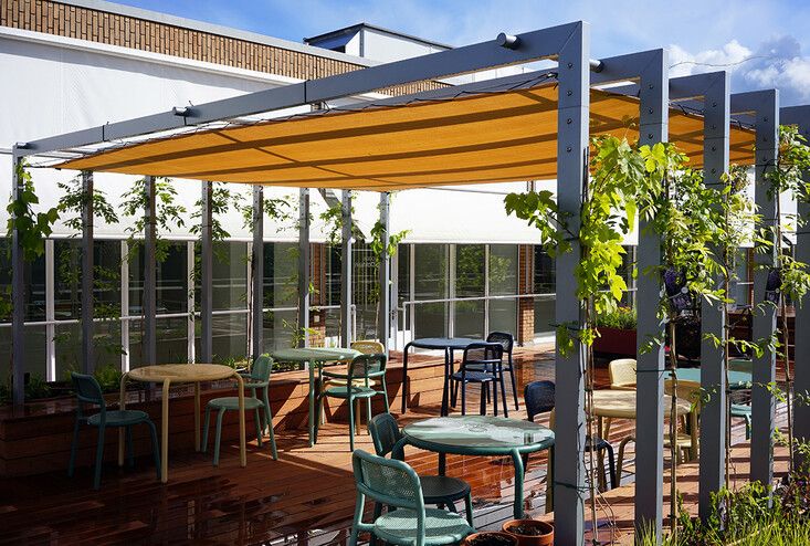 Stekjesruilmoment op CODA Daktuin