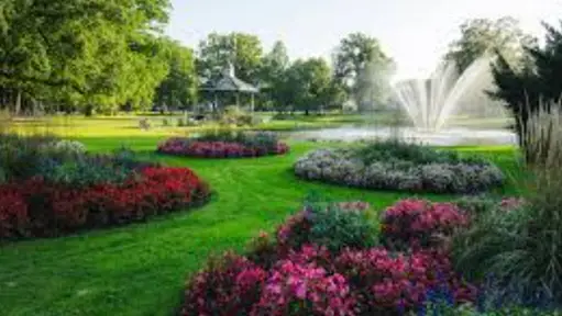 Gratis IVN wandeling door het Oranjepark