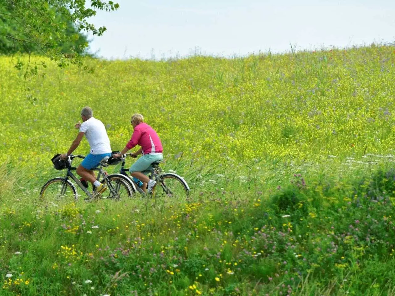 Fietsers kunstroutes Haarlem