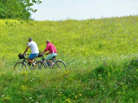 Fietsers kunstroutes Haarlem