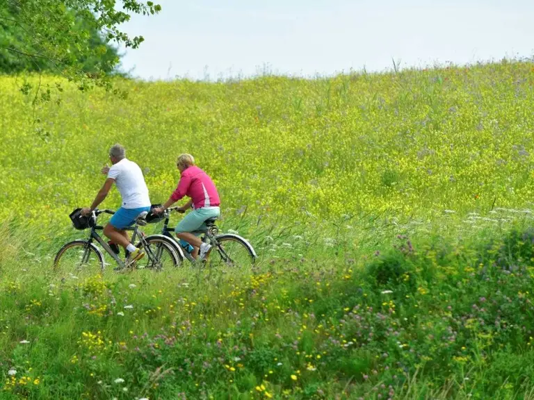 Fietsers kunstroutes Haarlem