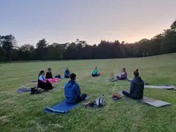 yoga and walk in het bos