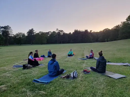 yoga and walk in het bos