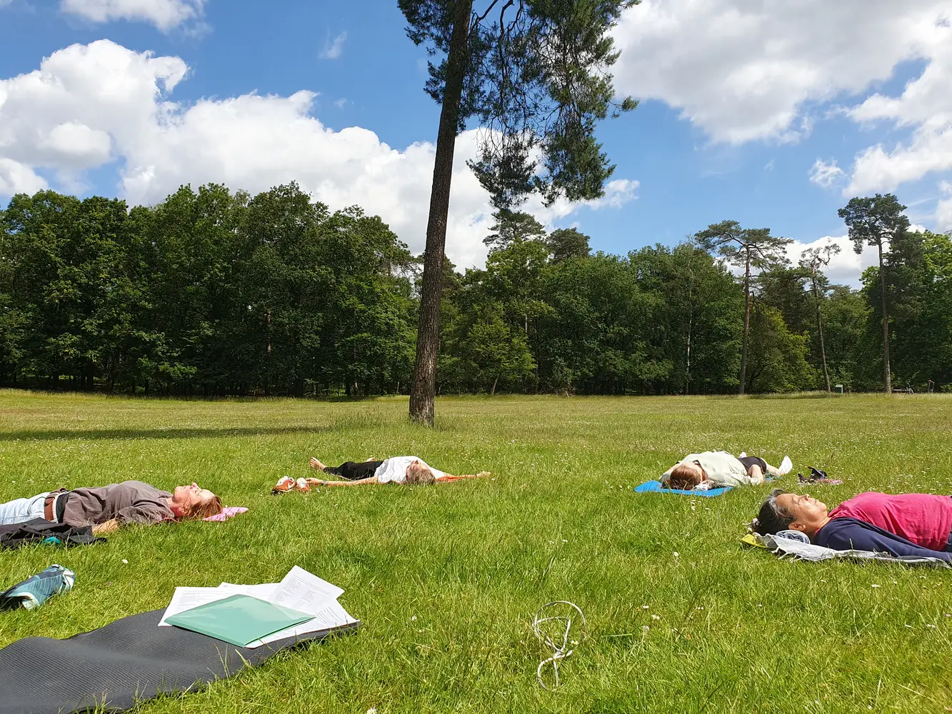 yoga nidra in het bos