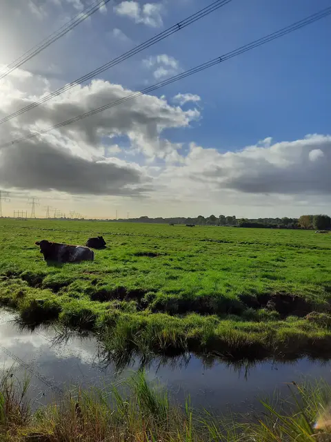 Landschap Laag Holland