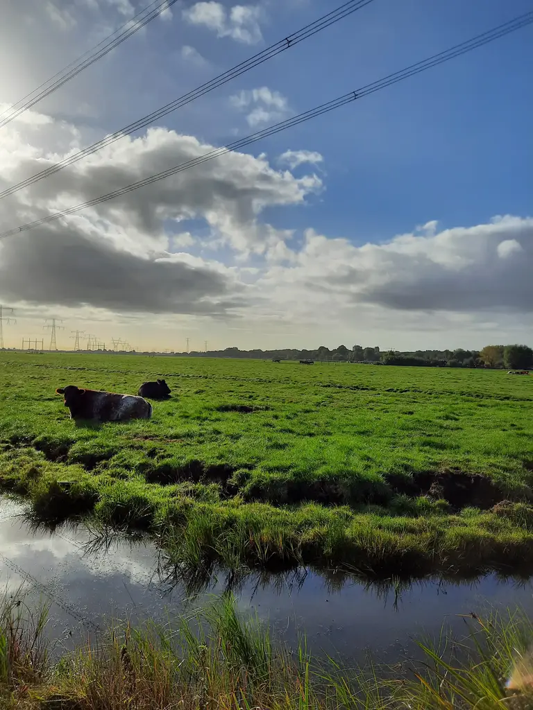 Landschap Laag Holland