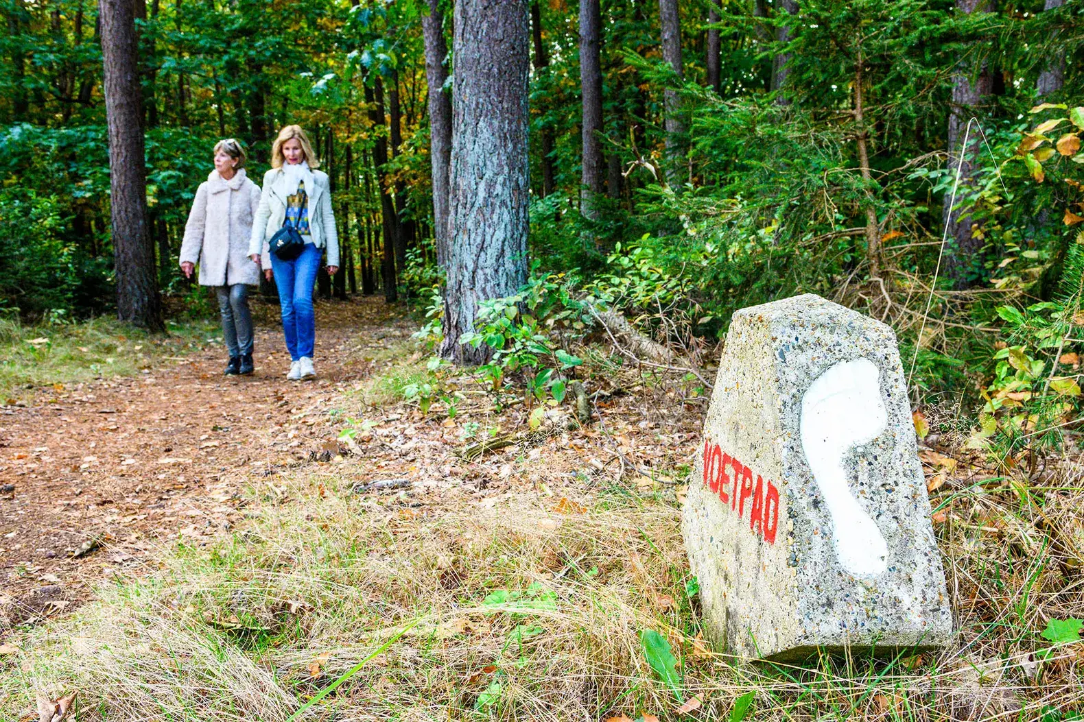 Het Voetstappenpad Hilversum