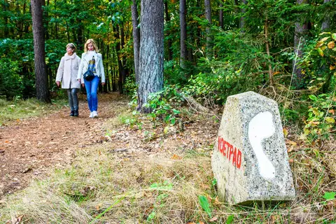 Het Voetstappenpad Hilversum
