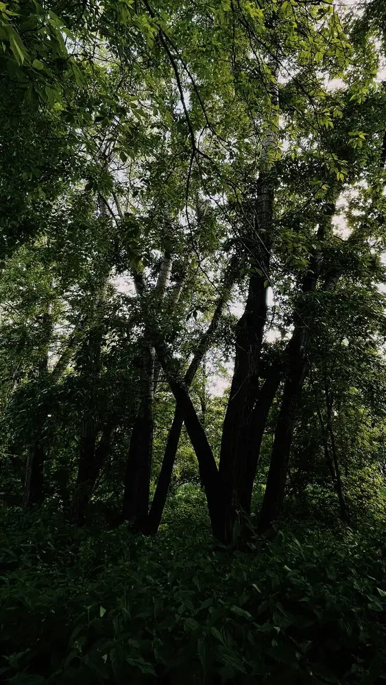 Excursie Koningspark Kerschoten